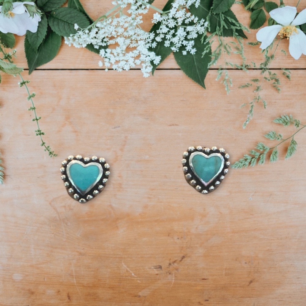 Earrings NWOT
